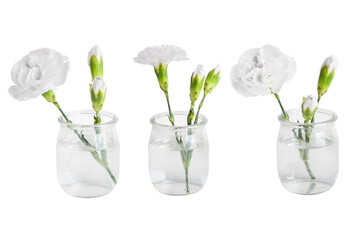 A set of white flowers in small vases or jars. On a blank background