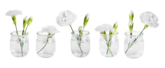 A set of white flowers in small vases or jars. On a blank background