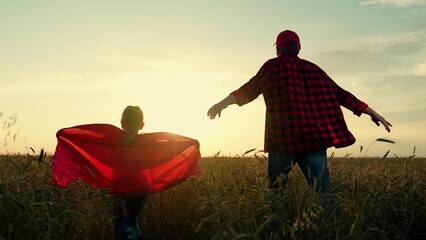 Dad of daughter plays superheroes in wheat field. Dad child run around in red raincoats, playing...