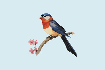 Birds design vector isolate illustration 