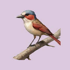 Birds design vector isolate illustration 