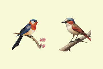 Birds design vector isolate illustration 
