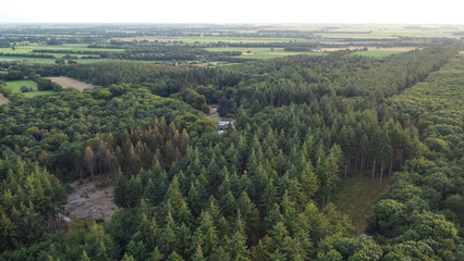 Aerial drone view of forest landscape in The Netherlands on a sunny summer day. Woodland woods landscape captured from above.