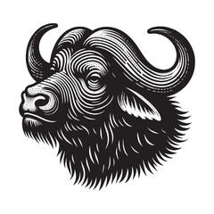 African buffalo head. Vintage engraving black and white vector illustration. Logo, emblem, woodcut. isolated object