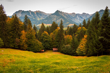 Goldener Oktober in den Allgäuer Alpen bei Oberstdorf. - obrazy, fototapety, plakaty