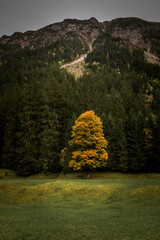 Goldener Oktober in den Allg&auml;uer Alpen bei Oberstdorf.