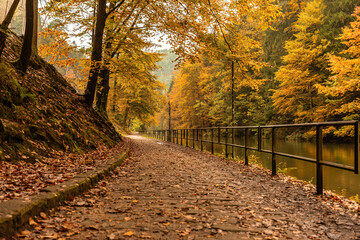 Landscape impression of a hiking path in the saxony swiss, germany, in october, autumn