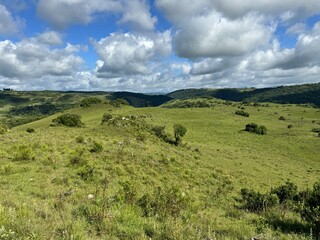 Obraz premium fazenda pecuária