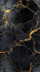 black marble texture witrh gold veins