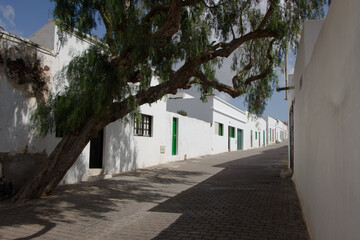 Reposante Teguise