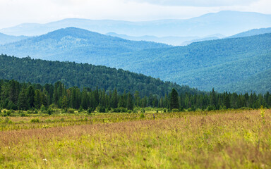 Fototapeta premium Altai landscapes 