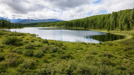 Altai landscapes
