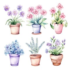The image features six potted plants painted in watercolor. All the plants are set in terracotta pots.