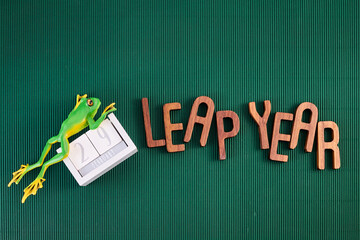 LEAP YEAR. Concept for date 29 month February