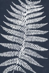 poster Silcat fern branch on blue background