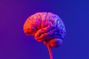 Human brain model with vibrant pink and purple lighting. Neuroscience and brain research concept. Minimalistic 3D illustration. Design for banner, advertising