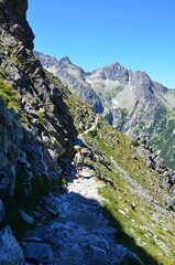 beautiful background of high Tatras, summer sunny weather