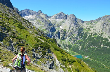 Fototapeta na wymiar beautiful background of high Tatras, summer sunny weather