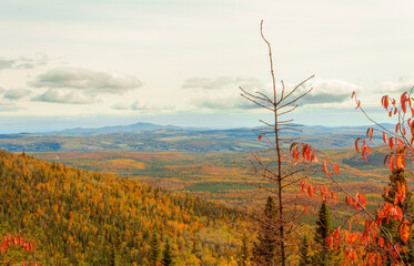 autumn landscape in the mountains