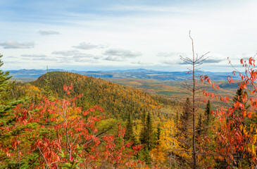 autumn landscape in the mountains