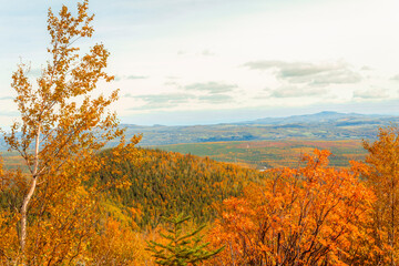 autumn landscape in the mountains