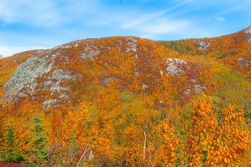 autumn landscape in the mountains