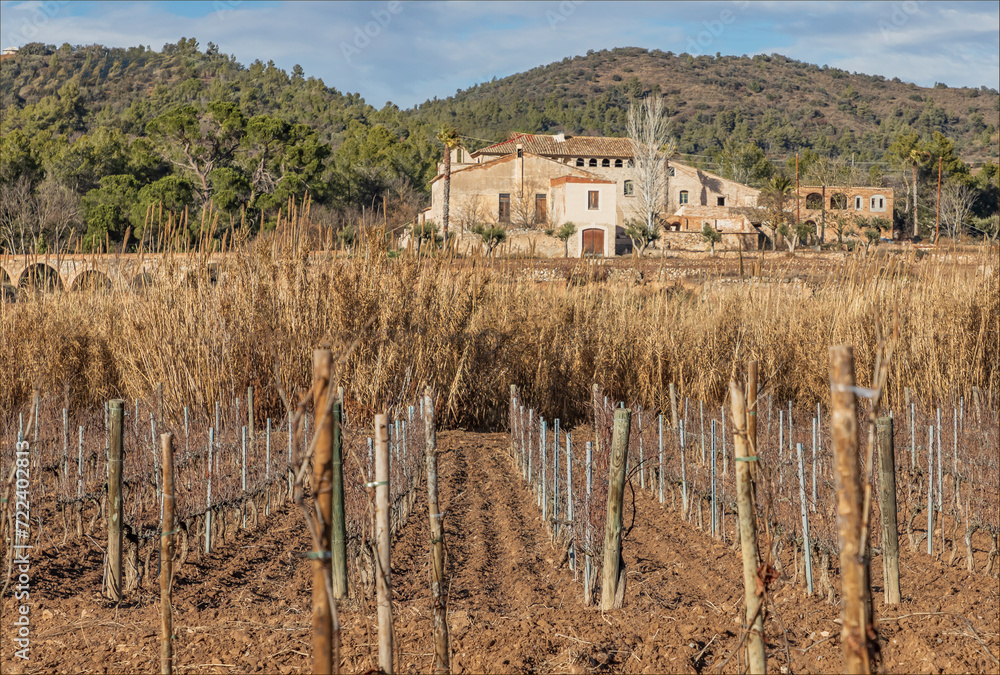 Sticker View across a Priorat vineyards at a winery