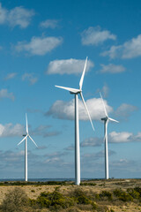 Field of wind turbines or wind mills in Texas generating electricity.