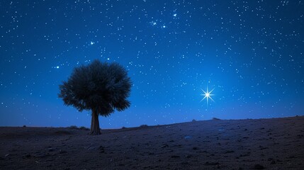 Bright epiphany star in night sky, adoration of baby jesus, copy space, blurred background