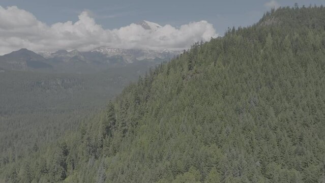 Ungraded aerial drone footage of Mount Rainier, partly veiled by clouds, towering over a dense evergreen forest, with the watermark of Adobe Stock on a sunny day.