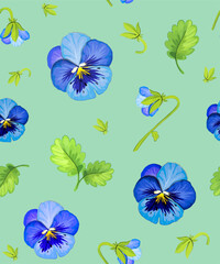 Pansies. Spring garden flowers and plants. Blue petals and buds on a white background. Vector pattern.