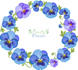 Frame, wreath with pansies. Spring garden flowers and plants. Blue petals and buds on a white background. Vector.