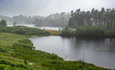Fototapeta na wymiar Tarn Hows lake in Lake district, England
