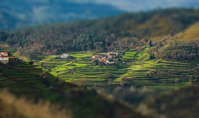 Pequena aldeia isolada nos campos agr&iacute;colas
