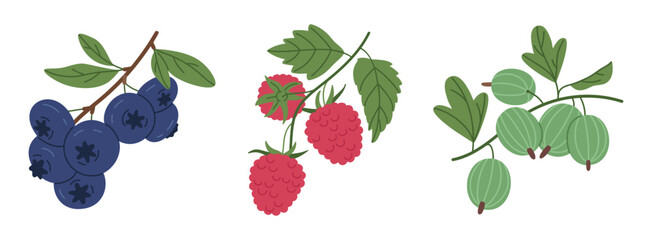 Edible fresh berries. Juicy forest berries, blueberry, raspberry and gooseberry flat vector illustration set. Ripe berries collection - obrazy, fototapety, plakaty