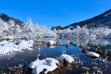 Izvir Save Dolinke at Zelenci near Kranjska Gora in Gorenjska, Slovenia in winter