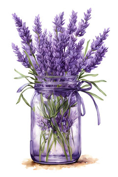 Lavender Flower Bouquet in glass jar. Watercolor floral illustration