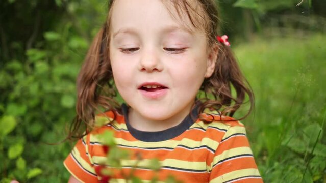 Face of small girl holding strawberry on halm in hand and eating its