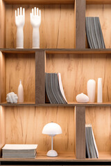 Bookcase rack with decorative elements, books and magazines on shelves
