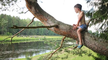 Small boy sit on pine tree branch near river Tvertsa.