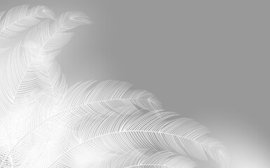  Background of flying realistic vector  goose or swan white feathers.Ecological feather filler for pillows, blankets or jackets.Vector concept design.