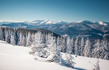 Fototapeta na wymiar Exotic winter landscape with snowy slopes on a frosty day.