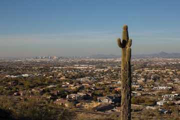 View of housing estates of Phoenix seen from South Mountain - 722438283