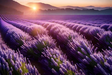 Foto op Plexiglas A 3D mural wallpaper showcasing a sunrise over a European lavender field, with pearl flowers glistening in the early light, creating a serene and vibrant scene. 8k © Muhammad