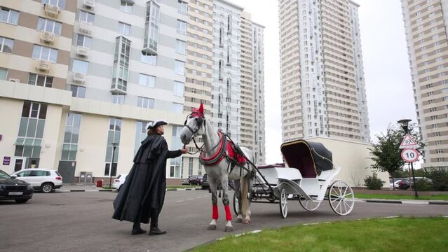 Coachman in black coat is holding horse by snaffle outside near skyscraper buildings