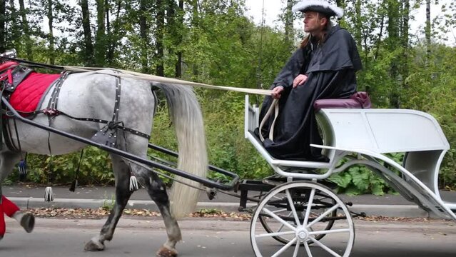 One coachman is sitting at horses carriage and then go ahead.