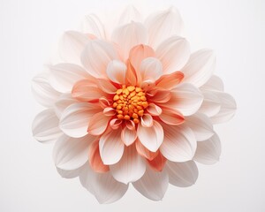 a flower with a white background created with Generative AI