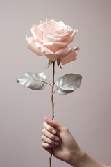 a person holding a rose in their hand created with Generative AI
