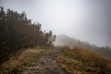 mountain foggy path in autumn