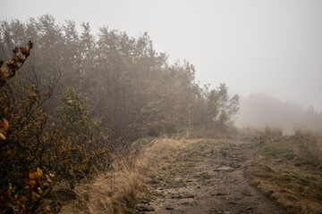 mountain foggy path in autumn